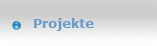 Projekte