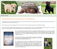 labrador-black-pearl